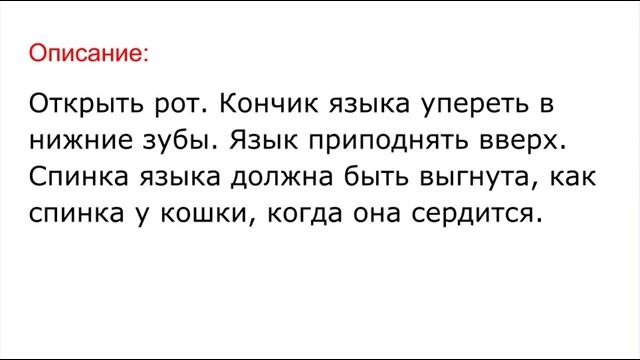 Веб-камералар арқылы тірі секс