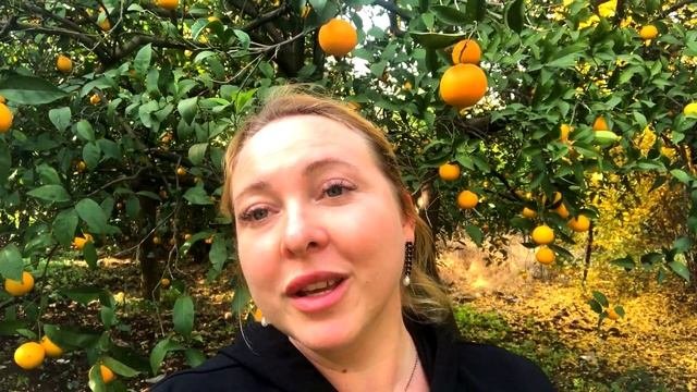 Когда выгоднее покупать недвижимость в Мерсине?