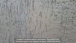 Короед Своими руками