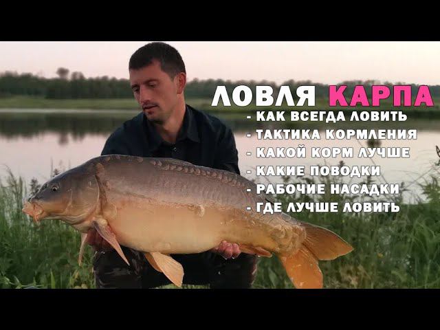 Карпфишинг. Как правильно кормить карпа, чтобы клевало всегда?