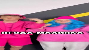 Я люблю разный пе..