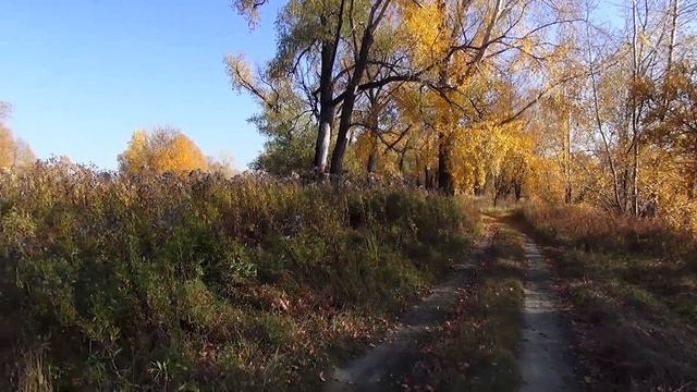 Новосиб. Затон. Угрюмка