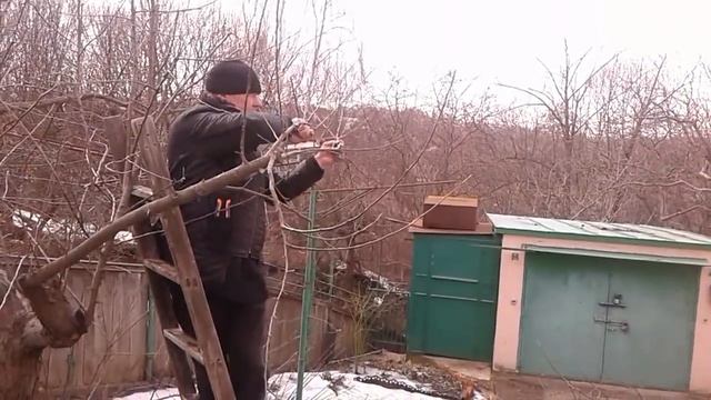 1 апреля 2018 г.(2)Омоложение старых яблонь .Возраст около 50лет. смотреть онлайн