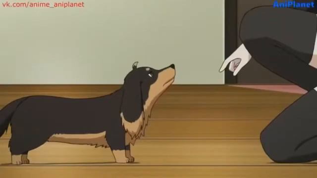 Самое Крутое Аниме В Жанре Фэнтези Этти Аниме Марафон