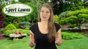 Landscaping marietta GA lawn care Roswell GA atlanta landscaping lawn service