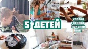 ДЕНЬ МНОГОДЕТНОЙ тёти. Капец! КОШКА принесла крысу в постель! Покупки Fixprice | ЗАГОТОВКА на зиму