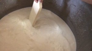 Внесение сычужного фермента. Брынза. МС-100