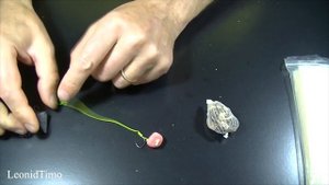 PVA пакеты и сетка для ловли КАРПА и САЗАНА