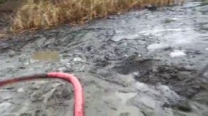 так нельзя чистить пруд от ила.