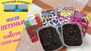 Посев томатов и петунии на рассаду.