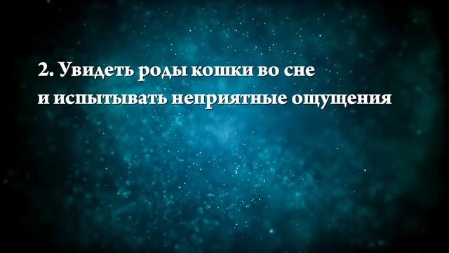 К чему снится рожающая кошка - Онлайн Сонник Эксперт смотреть онлайн