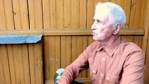 Как правильно поставить ульи и приманить пчел