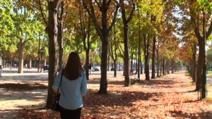 Autumn Champs Elysees - Paris, France / Осенние Елисейские поля - Париж, Франция