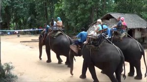 Таиланд Паттайя Слоны мои друзья. Катание на слонах на реке Квай.Выступления слонов.