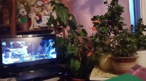 Песенка красной шапочки.