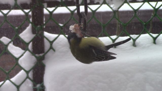 Неудобный завтрак.mp4 смотреть онлайн