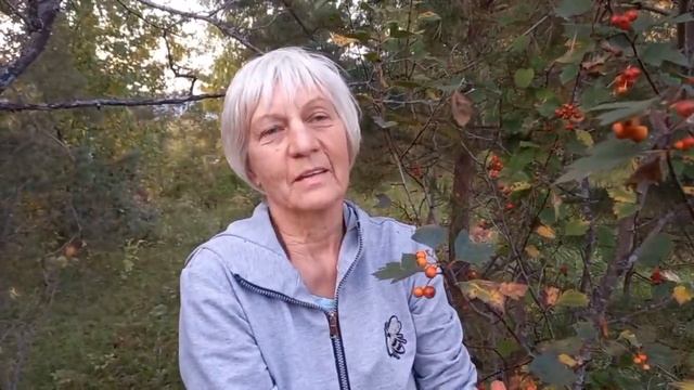 ОСЕНЬ ПОЛНА ЛЕСНЫХ ДАРОВ АЛТАЯ вГОРОДЕ СОЛНЦА ЗВЕНИГРАД.Марина Мальцева и Нат.Безрукова.МирУниверс-