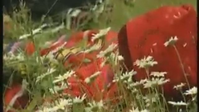 ЧИБАТУХА. ЯГОДА