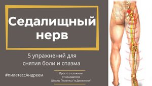 Защемление седалищного нерва. 5 простых техник снятия спазма и боли.