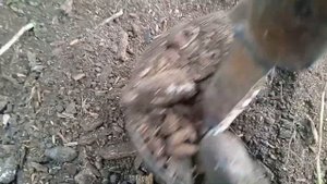 Бурение ямок под столбы.