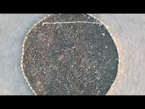 парк Александрия смотреть онлайн