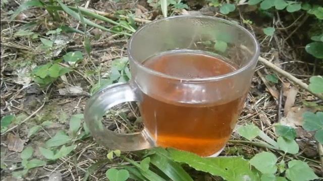 Как заварить листья брусники смотреть онлайн