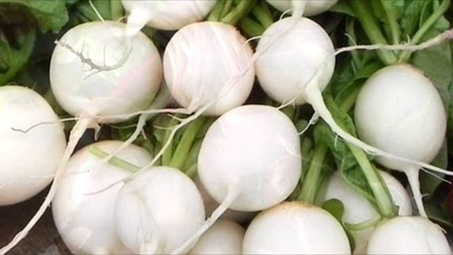 Какие овощи можно давать хомякам? | Питание хомяков ★