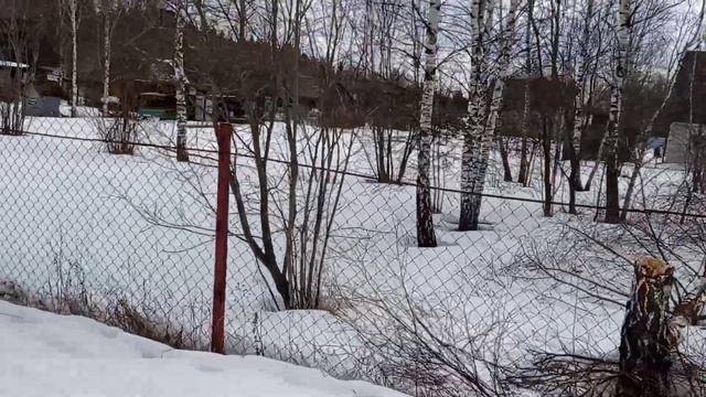 СНТ ТОПАЗ. Продам дом. Обзор 7,8,9 участки. Весна 2021. смотреть онлайн