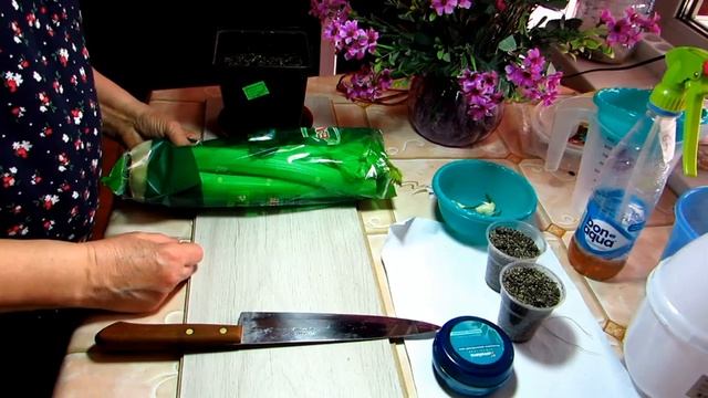 Сельдерей на зелень.. смотреть онлайн