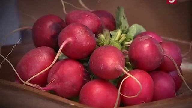 Маринованный редис: рецепты консервации от "Утра на 5"