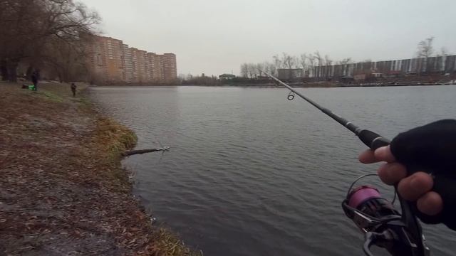 Осенняя ловля щук и уток на спиннинг