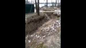 Сброс канализации из септика и станции в канаву.
