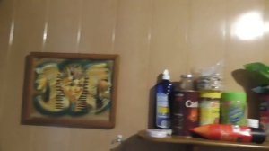 Кухонный гарнитур из осины.Нет плохого дерева!