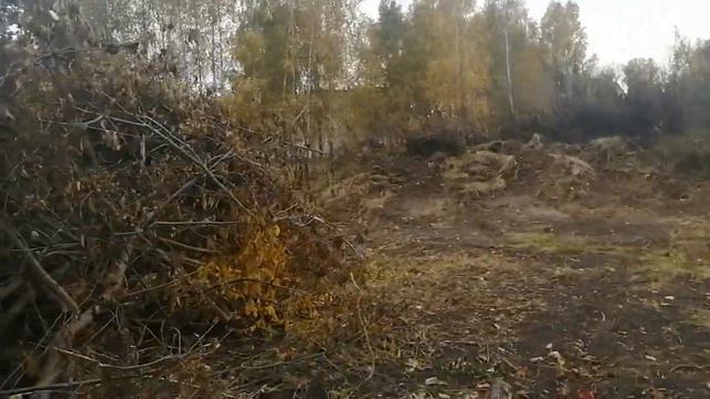 Приехал в свой дом в деревне смотреть онлайн