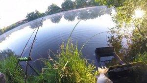 Классический фидер VS флэт метод фидер /Карась на фидер/Видеоотчет июль 2020