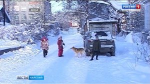 20 тысяч рублей за укус собаки