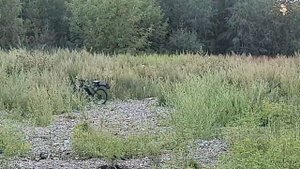 Корсар компакт 6.35  , итог стрельбы по гонгу на 38 метров.