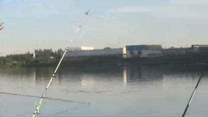 Рыбалка на Волге в Твери