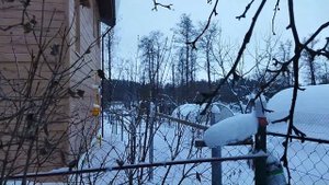 Алабай на охране. Какой раздражитель в приоритете, человек или собака?