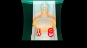 Правила безопасности в МРТ 1,5 Тесла