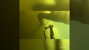 Подводная охота на камболу. Кольский