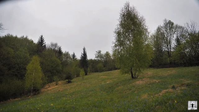 ⛆SKYRIM THEME PIANO VERSION WITH RAIN ⛆ // SOFT RAIN MUSIC смотреть онлайн