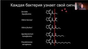 Лекция 4. Обмен информацией между бактериями.