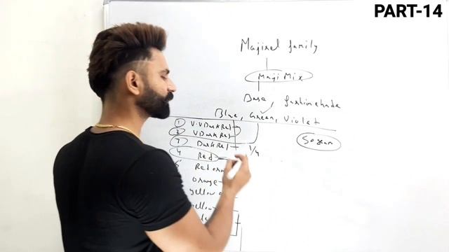 Majirel Mix | Part-14 Blue Green Violet Kse Use kare | Majirel Hair Color #majirel #loreal смотреть онлайн