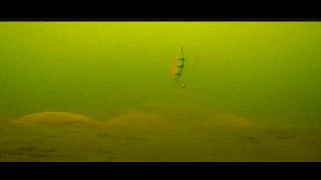 Старооскольское водохранилище. 15 февраля 2021 г.