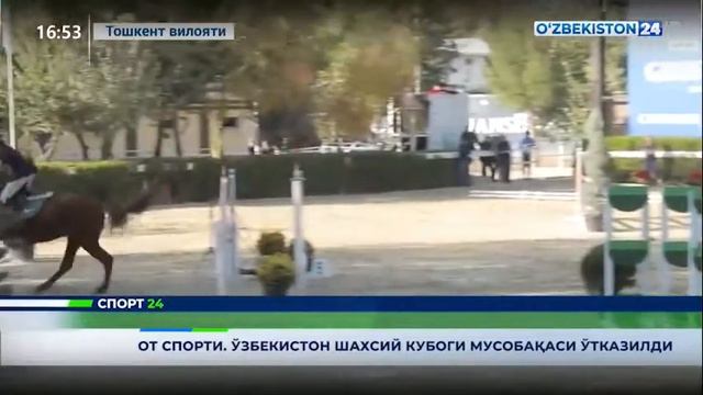 Спорт 24 | От спорти: Ўзбекистон шахсий кубоги мусобоқаси ўтказилди (25.10.2021) смотреть онлайн