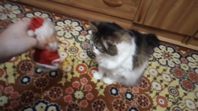 VLOG Баба варит ХОЛОДЕЦ /Украшаем ЁЛКУ/ Котику нравятся игрушки смотреть онлайн