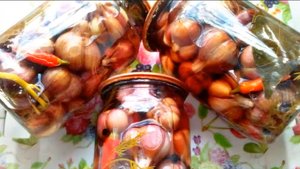 Хрустящий молодой маринованный чеснок на зиму! Готов через неделю!