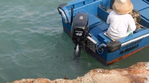 SUZUKI DT40 2-Stroke 40HP