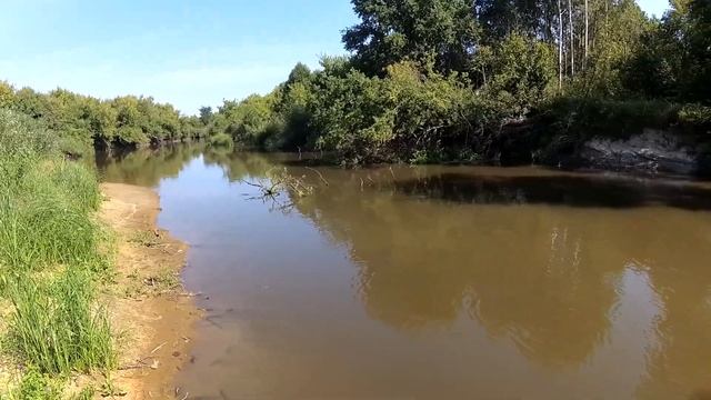 Сплав по реке Ипуть смотреть онлайн